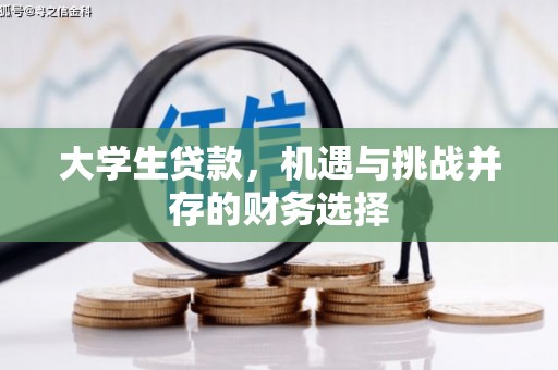 滨海大学生贷款，机遇与挑战并存的财务选择