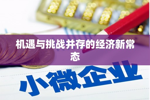 泉山机遇与挑战并存的经济新常态