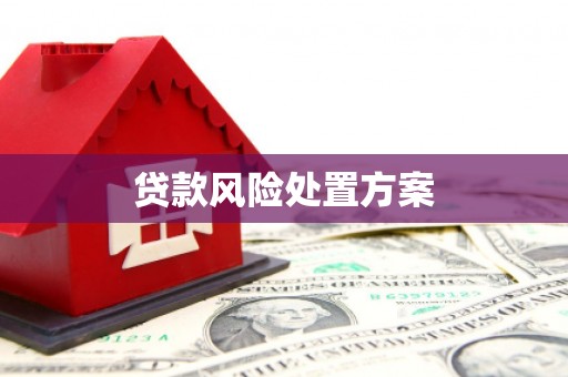 平湖贷款风险处置方案