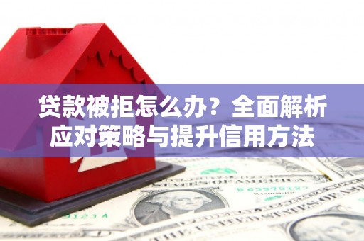 蒙阴贷款被拒怎么办？全面解析应对策略与提升信用方法