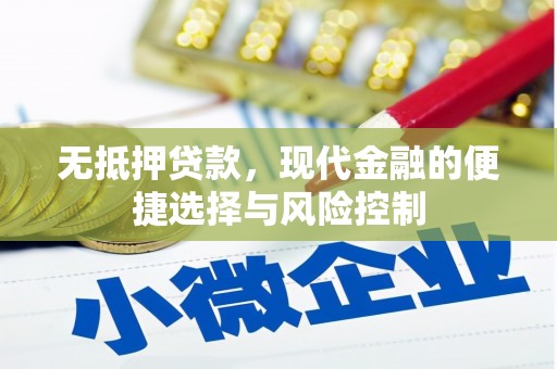 绥滨无抵押贷款，现代金融的便捷选择与风险控制