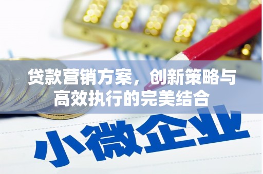 门源贷款营销方案，创新策略与高效执行的完美结合