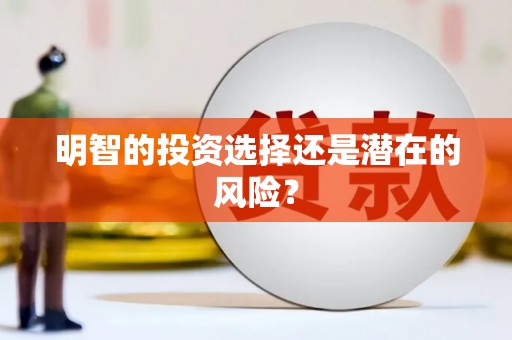 洪梅明智的投资选择还是潜在的风险？