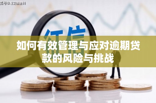 莿桐如何有效管理与应对逾期贷款的风险与挑战