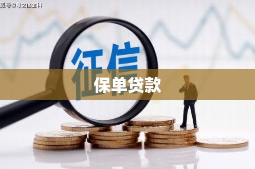 铜仁保单贷款