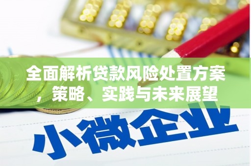 荔湾全面解析贷款风险处置方案，策略、实践与未来展望