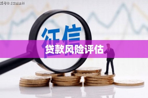 西吉贷款风险评估
