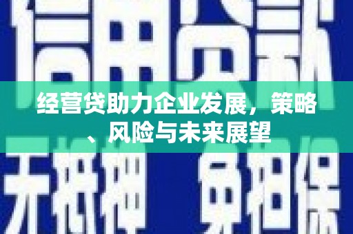南屯经营贷助力企业发展，策略、风险与未来展望
