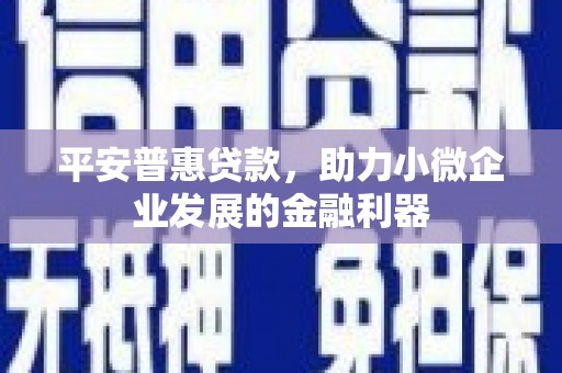 荣县平安普惠贷款，助力小微企业发展的金融利器