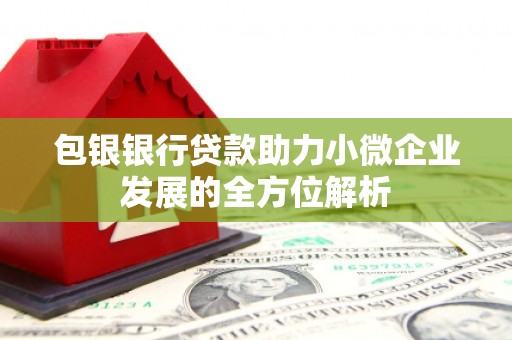 岷县包银银行贷款助力小微企业发展的全方位解析 岷县包银银行贷款助力小微企业发展的全方位解析