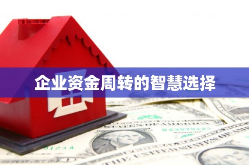 麻山企业资金周转的智慧选择