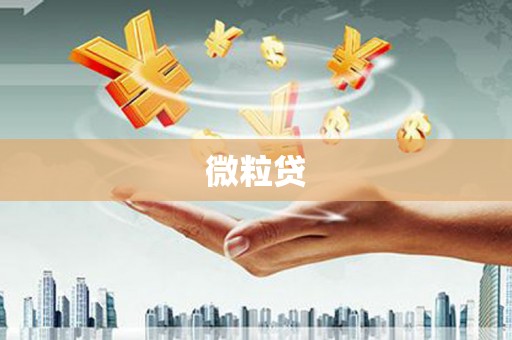 大观微粒贷