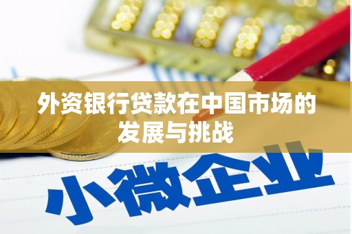 林西外资银行贷款在中国市场的发展与挑战