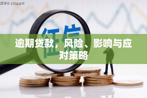 疏勒逾期贷款，风险、影响与应对策略