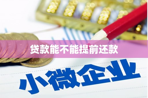 大朗贷款能不能提前还款