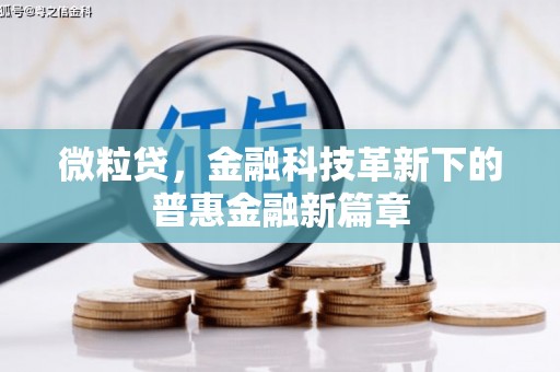 林西微粒贷，金融科技革新下的普惠金融新篇章