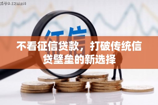 西区不看征信贷款，打破传统信贷壁垒的新选择