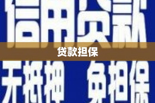 山阴贷款担保
