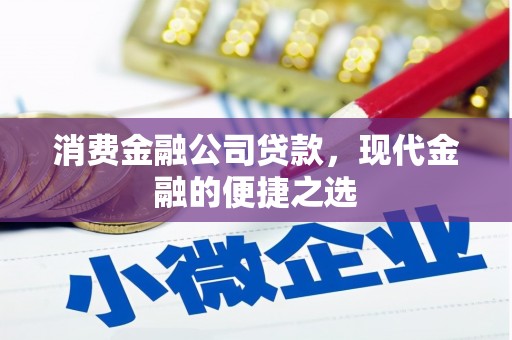 沂源消费金融公司贷款，现代金融的便捷之选