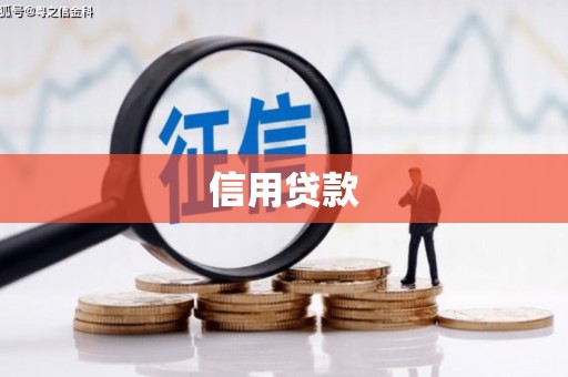 普湾新区信用贷款