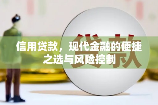 临湘信用贷款，现代金融的便捷之选与风险控制
