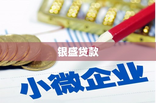 台西银盛贷款