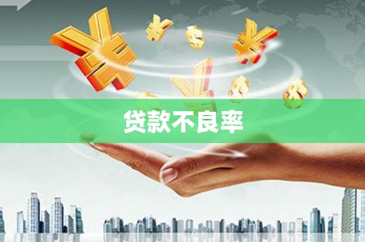海兴贷款不良率