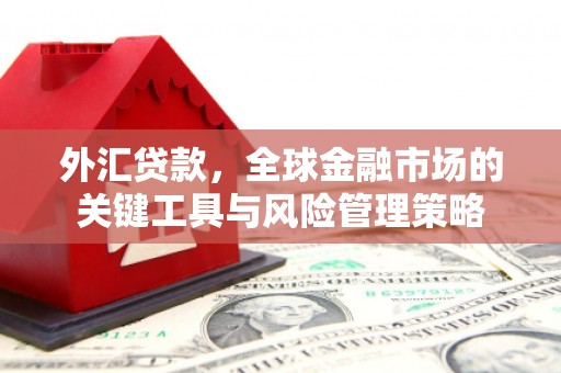 站前外汇贷款，全球金融市场的关键工具与风险管理策略