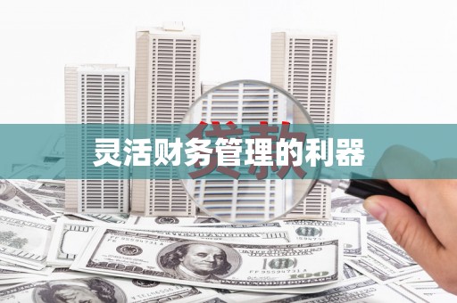 嘉禾灵活财务管理的利器