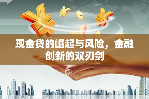 岳麓现金贷的崛起与风险，金融创新的双刃剑