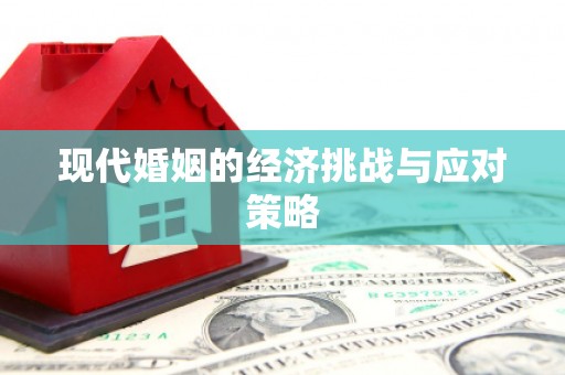 新埤现代婚姻的经济挑战与应对策略