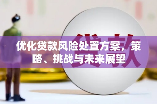扎赉诺尔优化贷款风险处置方案，策略、挑战与未来展望