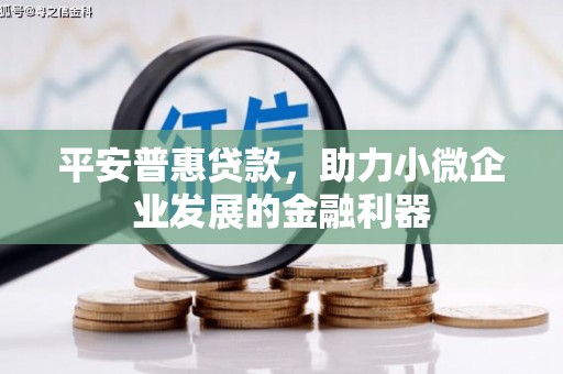 水城平安普惠贷款，助力小微企业发展的金融利器