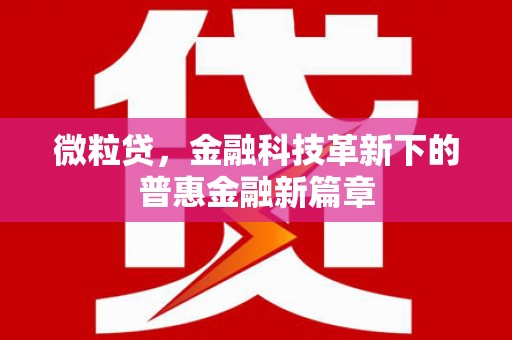 长岛微粒贷，金融科技革新下的普惠金融新篇章