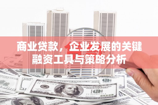 望城商业贷款，企业发展的关键融资工具与策略分析