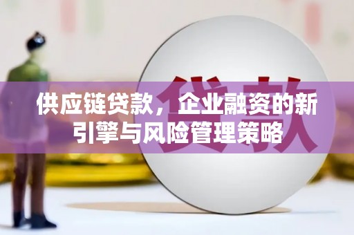 美姑供应链贷款，企业融资的新引擎与风险管理策略