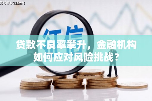 建邺贷款不良率攀升，金融机构如何应对风险挑战？