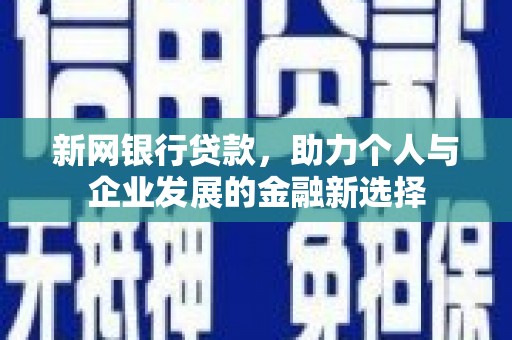 六甲新网银行贷款，助力个人与企业发展的金融新选择