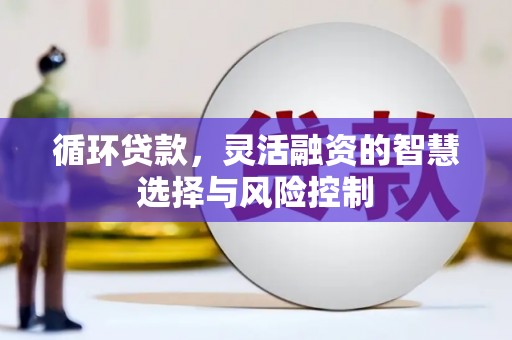 蒙阴循环贷款，灵活融资的智慧选择与风险控制