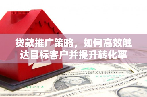 大观贷款推广策略，如何高效触达目标客户并提升转化率