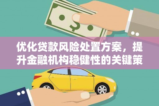 康县优化贷款风险处置方案，提升金融机构稳健性的关键策略