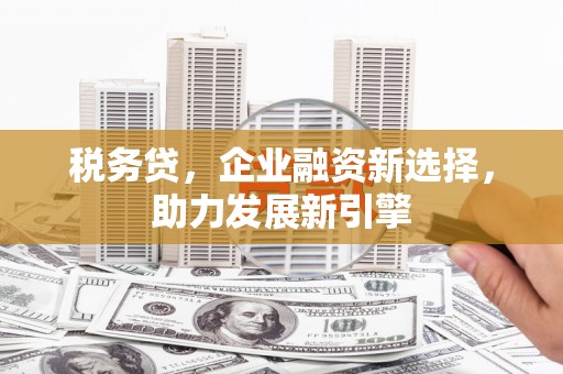 兰考税务贷，企业融资新选择，助力发展新引擎
