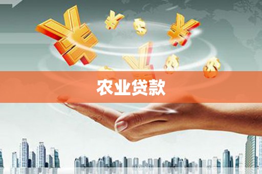 开福农业贷款