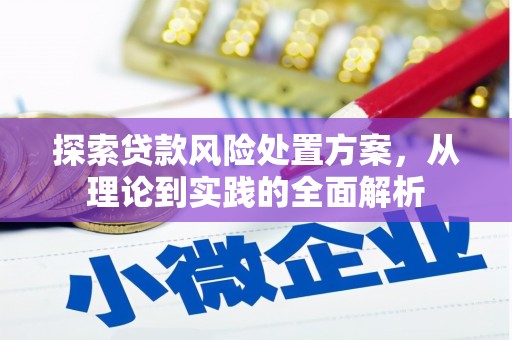 新郑探索贷款风险处置方案，从理论到实践的全面解析