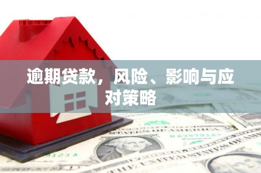 泰武逾期贷款，风险、影响与应对策略