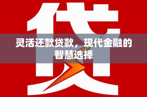 普湾新区灵活还款贷款，现代金融的智慧选择