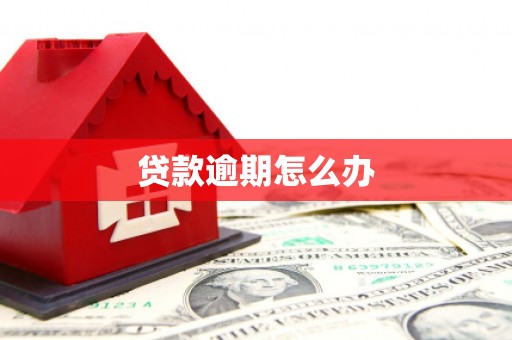 金峰贷款逾期怎么办