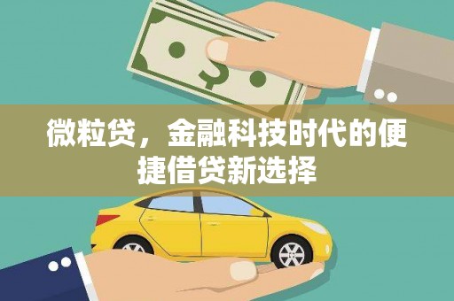 乐平微粒贷，金融科技时代的便捷借贷新选择