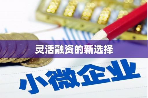 邵阳县灵活融资的新选择