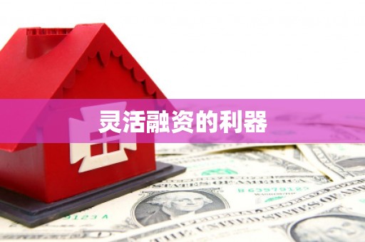 西秀灵活融资的利器